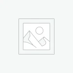 organic cotton bra australia - Professional Guide and Review